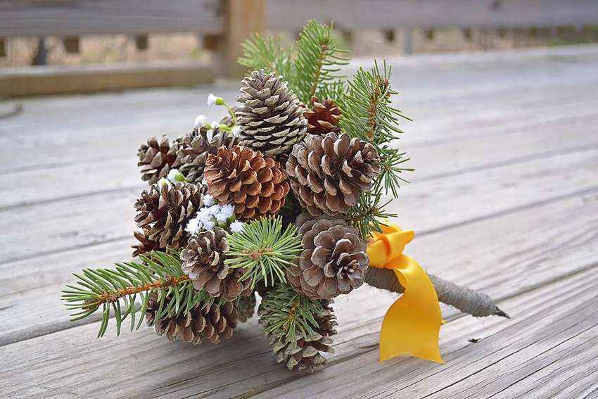 un bouquet de cônes