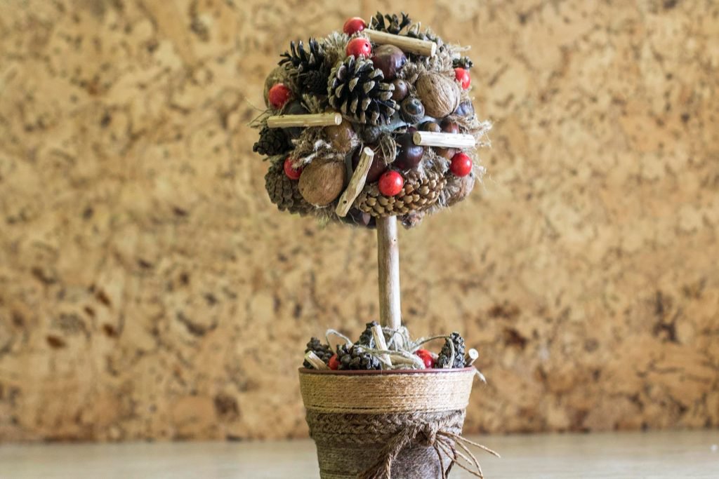 arbre à cône