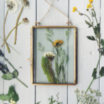 herbier faites-le vous-même conception de photo