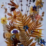 herbier faites-le vous-même idées de conception