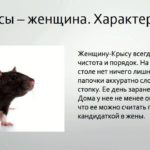année du rat caractéristique d'une femme