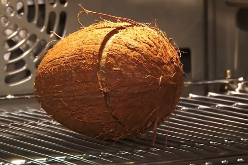coco no forno