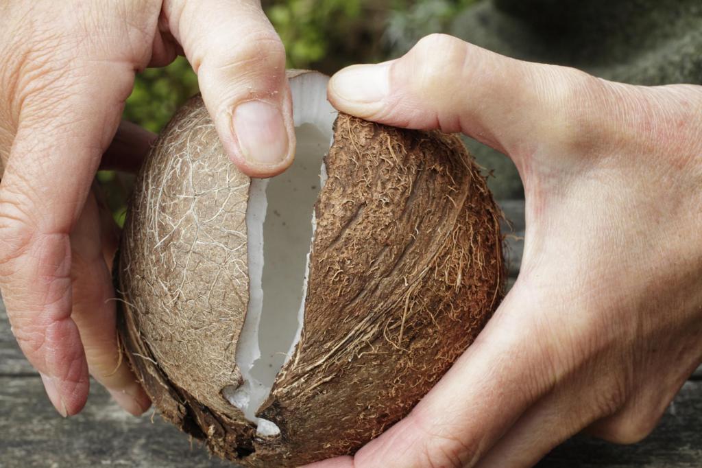 como abrir um coco