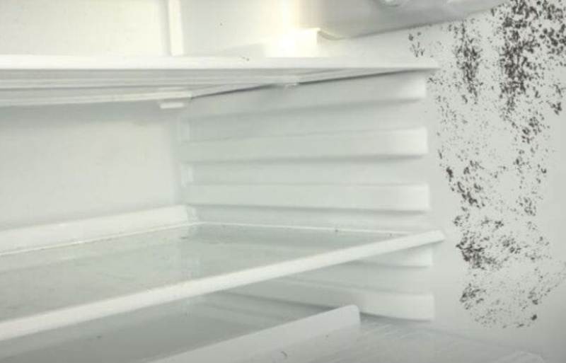 comment enlever la moisissure dans le réfrigérateur