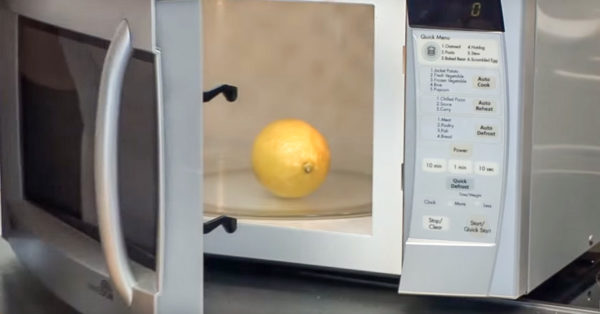 Pour commencer, les agrumes sont placés au micro-ondes et y sont chauffés pendant 20 secondes.