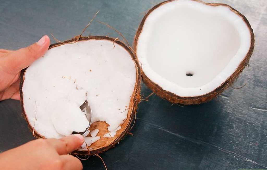 polpa de coco