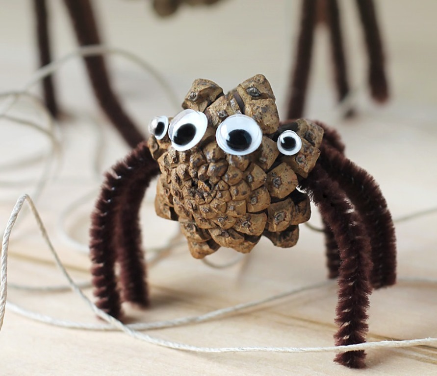 araignée conique