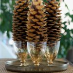 espèces de décor de cônes
