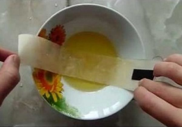 Piège à mouches bricolage