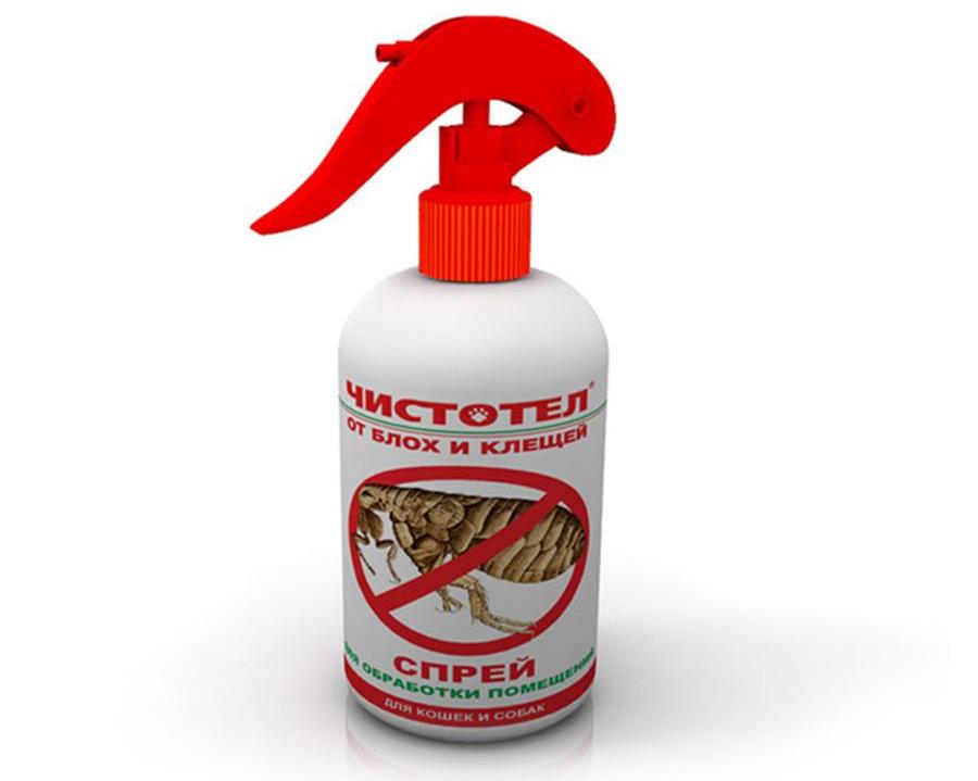 spray aux puces
