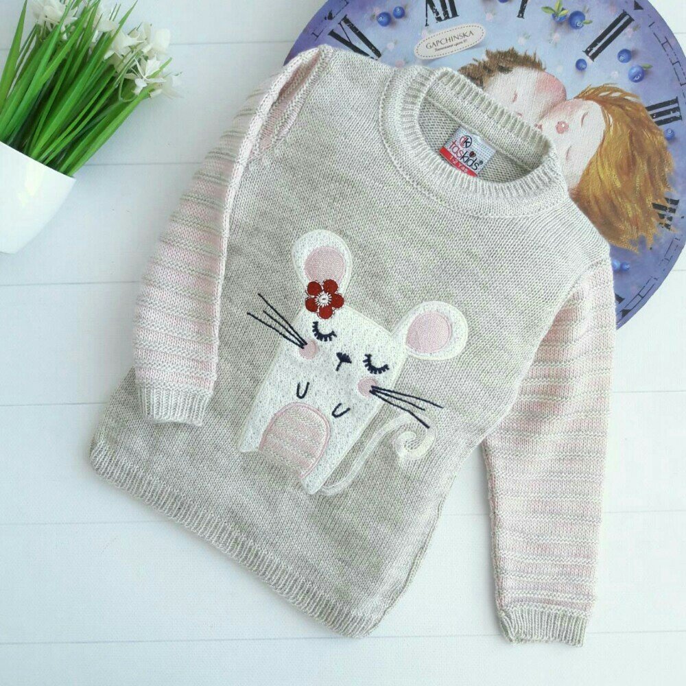 Pullover mit einer Maus