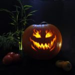 types de photo de citrouille d'halloween