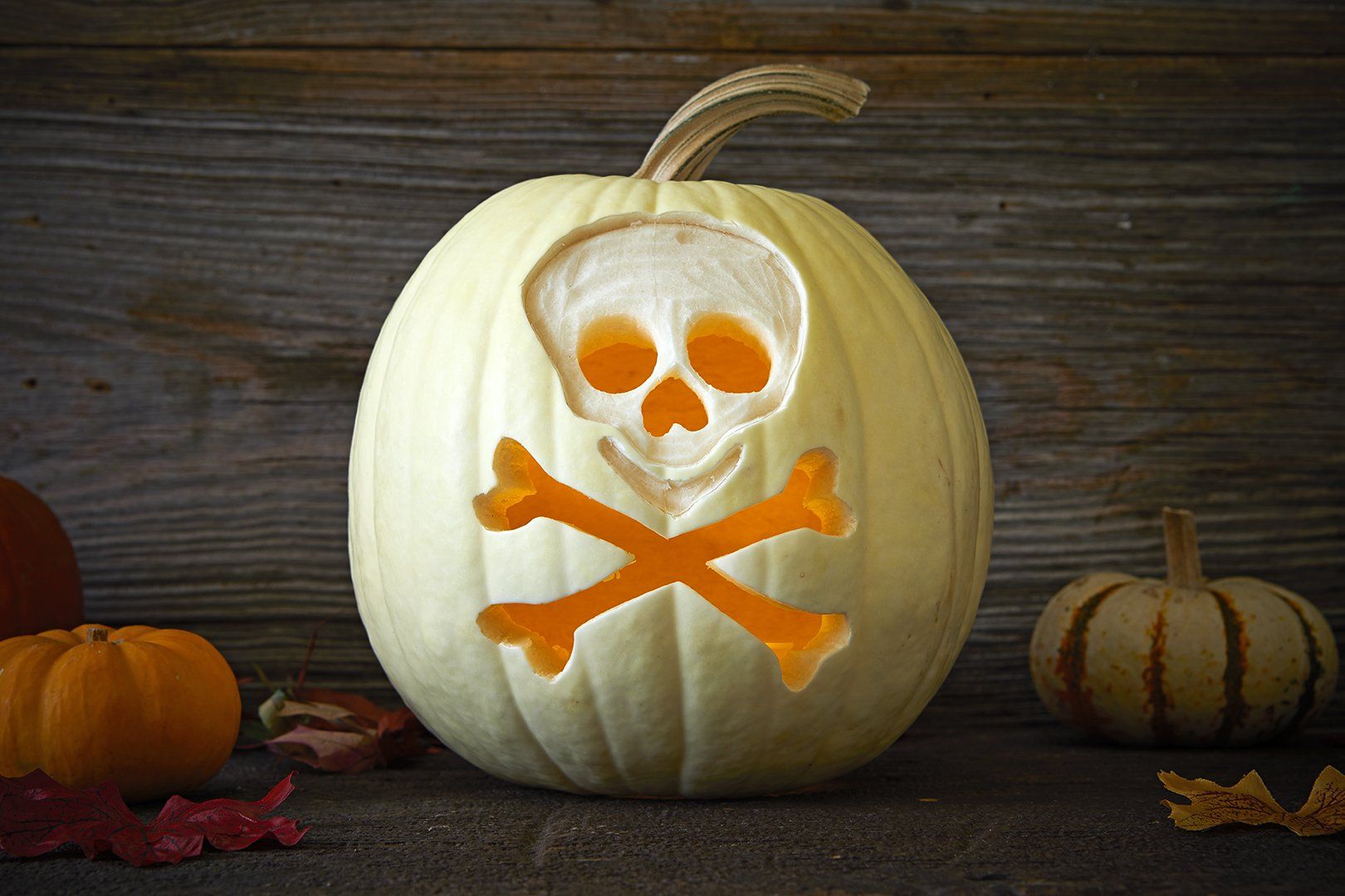 idées de photo de citrouille d'halloween