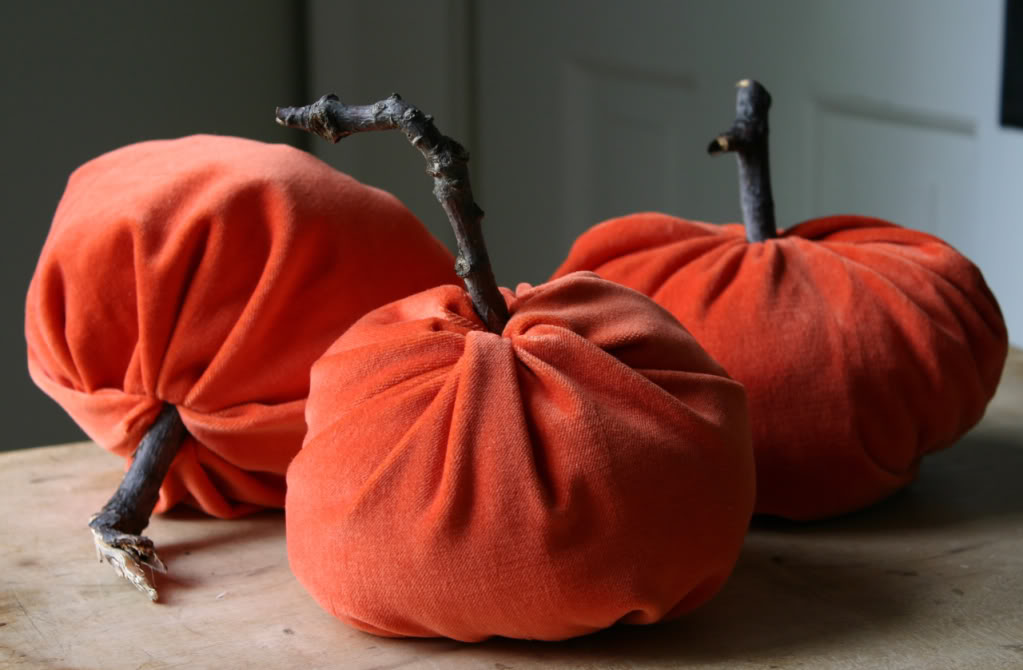 tissu citrouille d'halloween