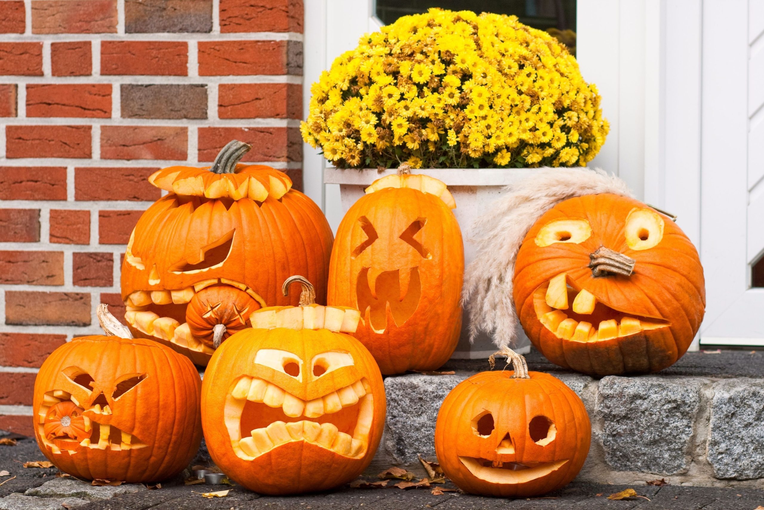 citrouilles pour halloween