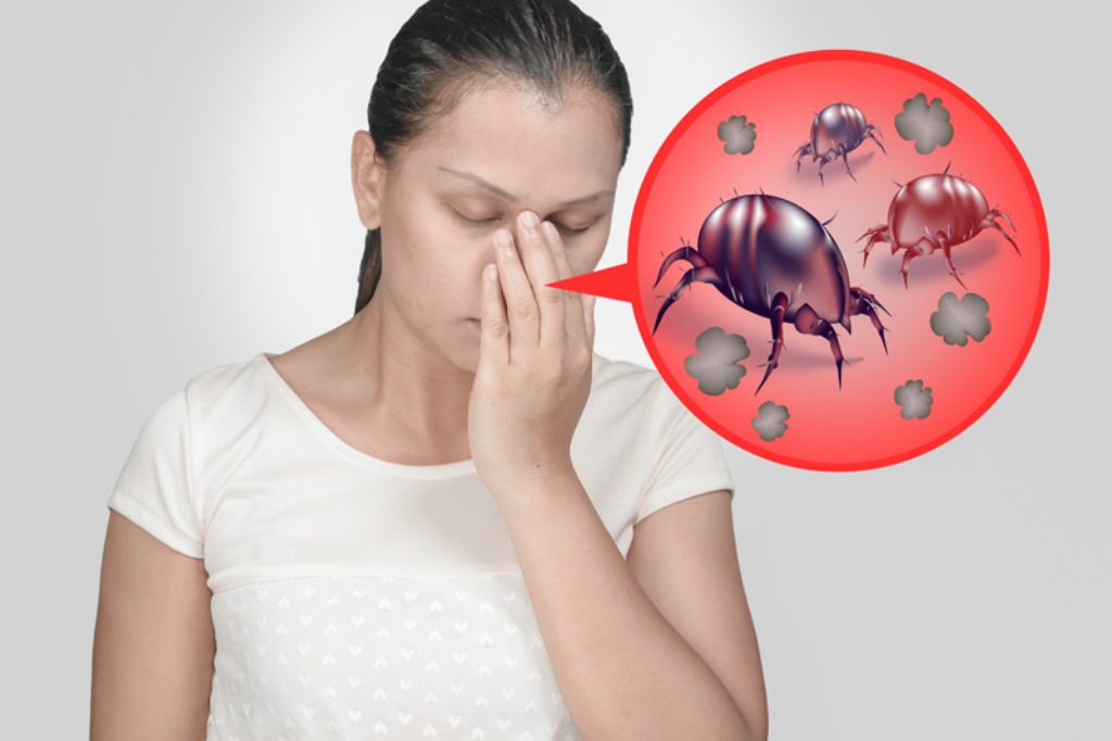 allergie aux acariens