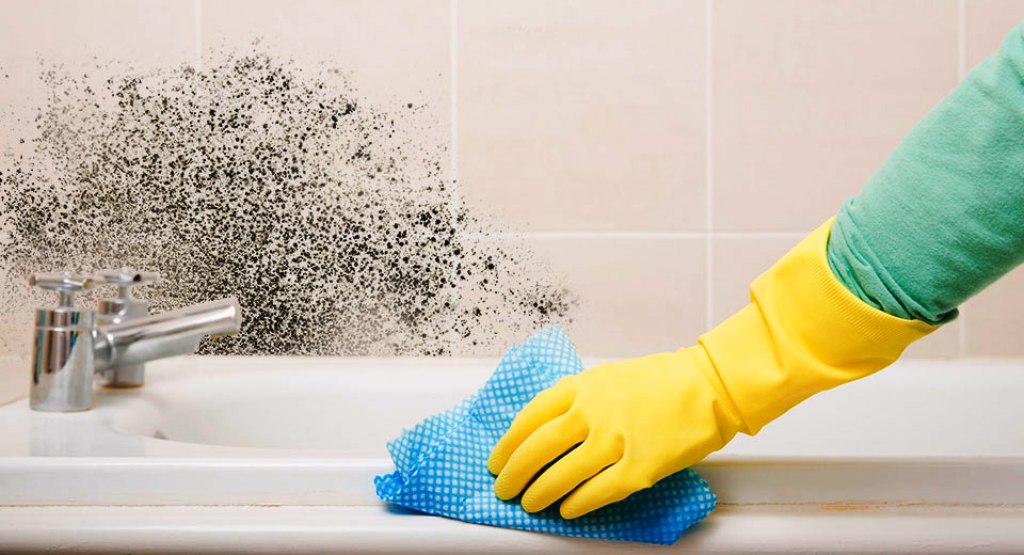 nous nous débarrassons de la moisissure dans la salle de bain