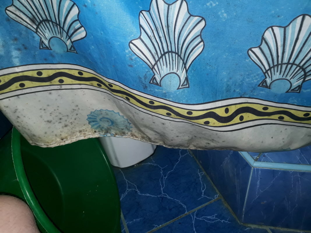 comment se débarrasser de la moisissure sur les rideaux de la salle de bain