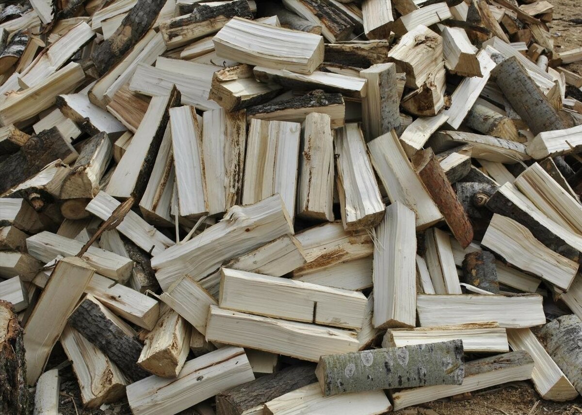 aspen firewood