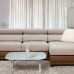 idées d'intérieur de canapé moderne