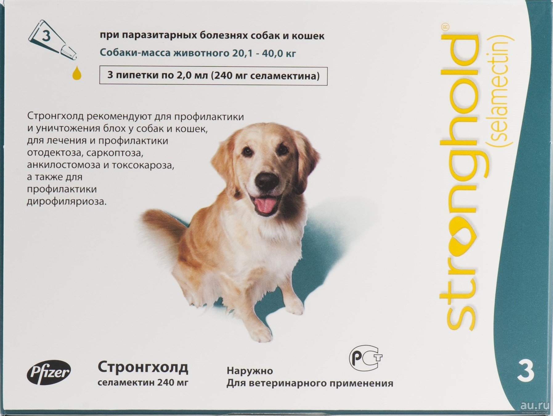 stronghold for dogs