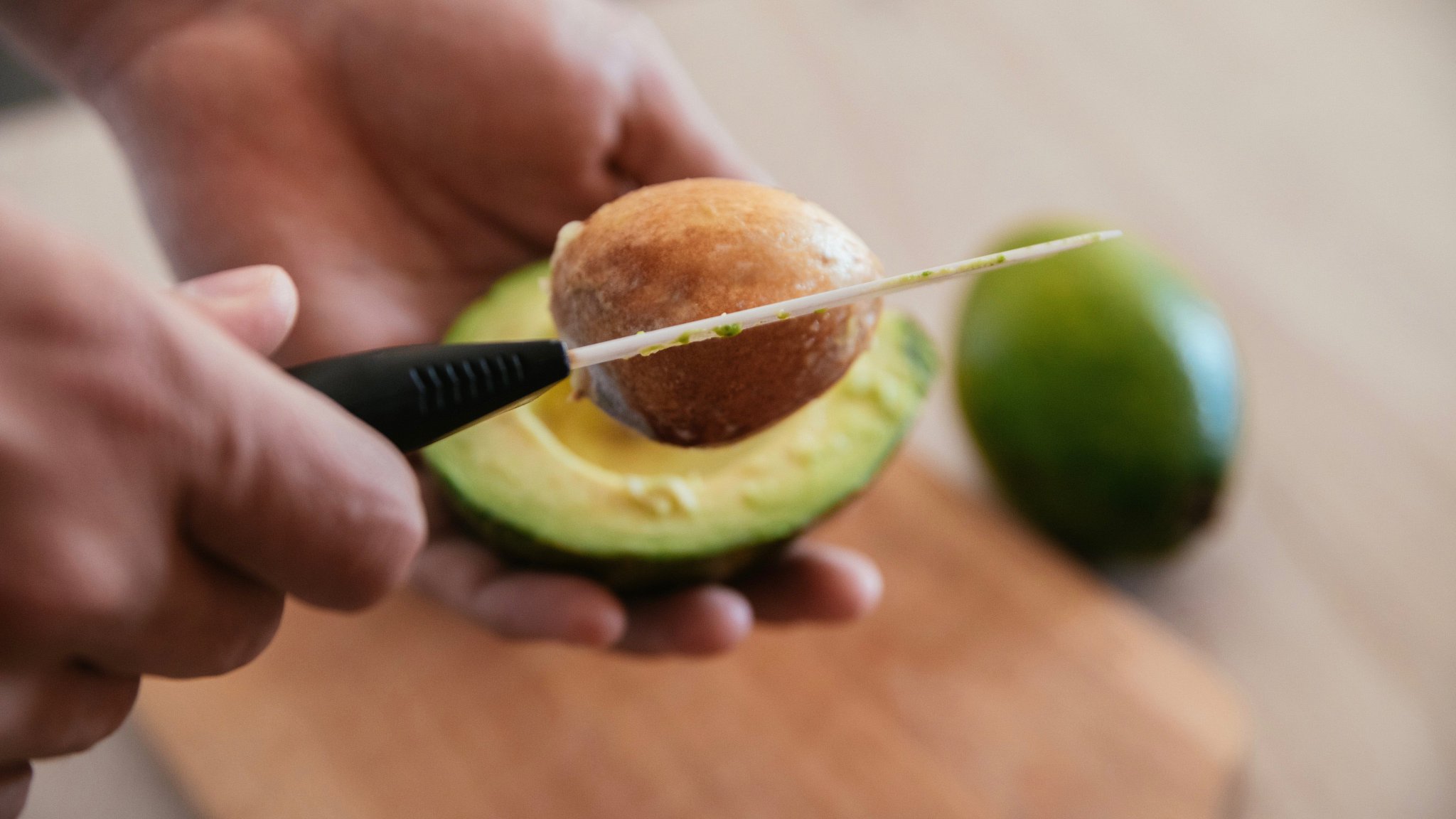 graine d'avocat