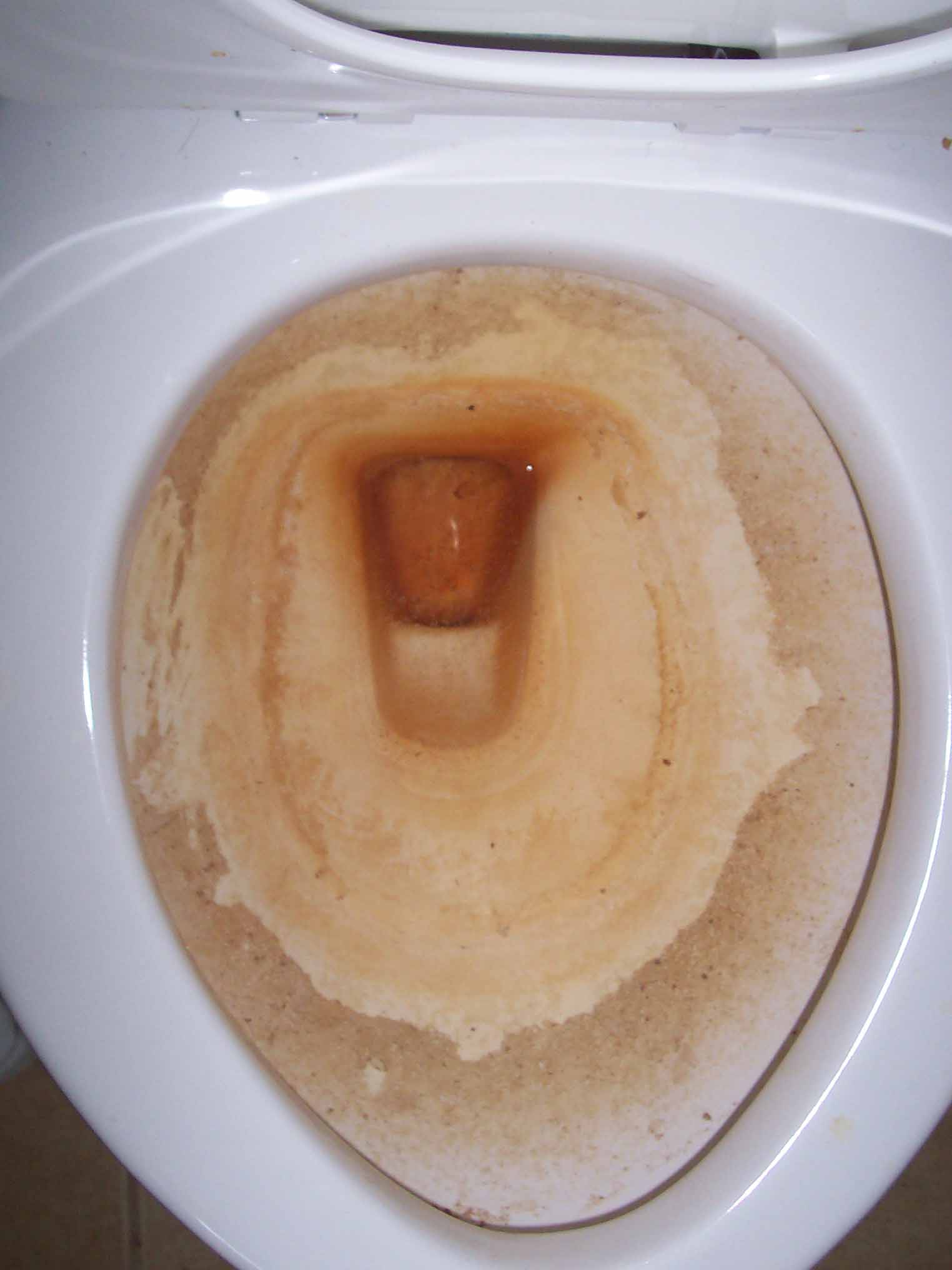 rust in the toilet