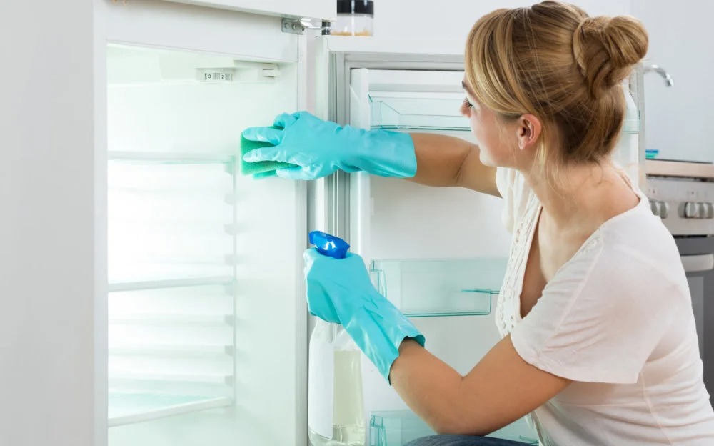 how to wash the refrigerator