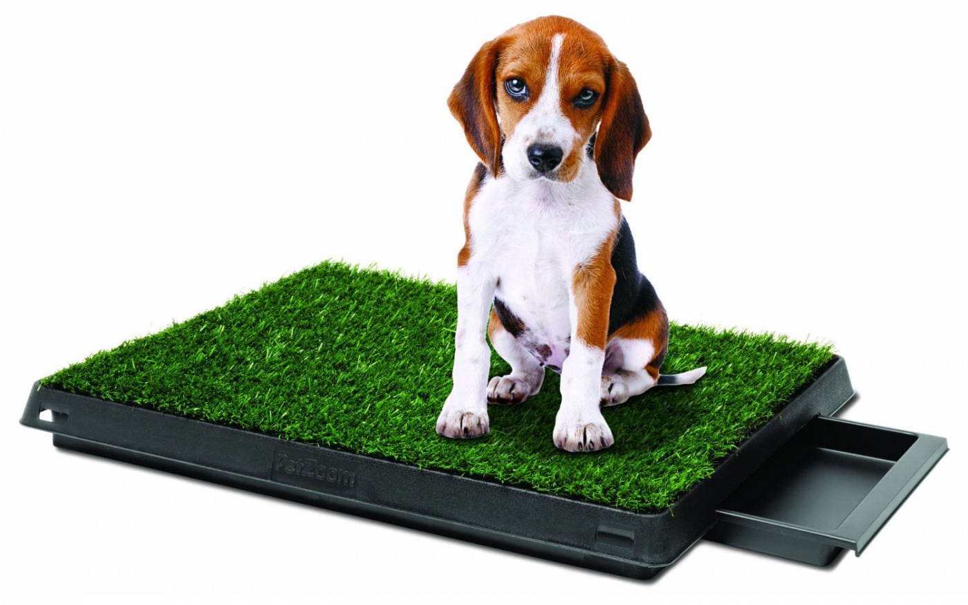 köpek için çöp kutusu
