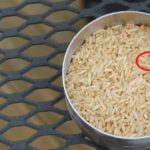 taupe dans le riz