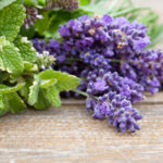 menthe et lavande