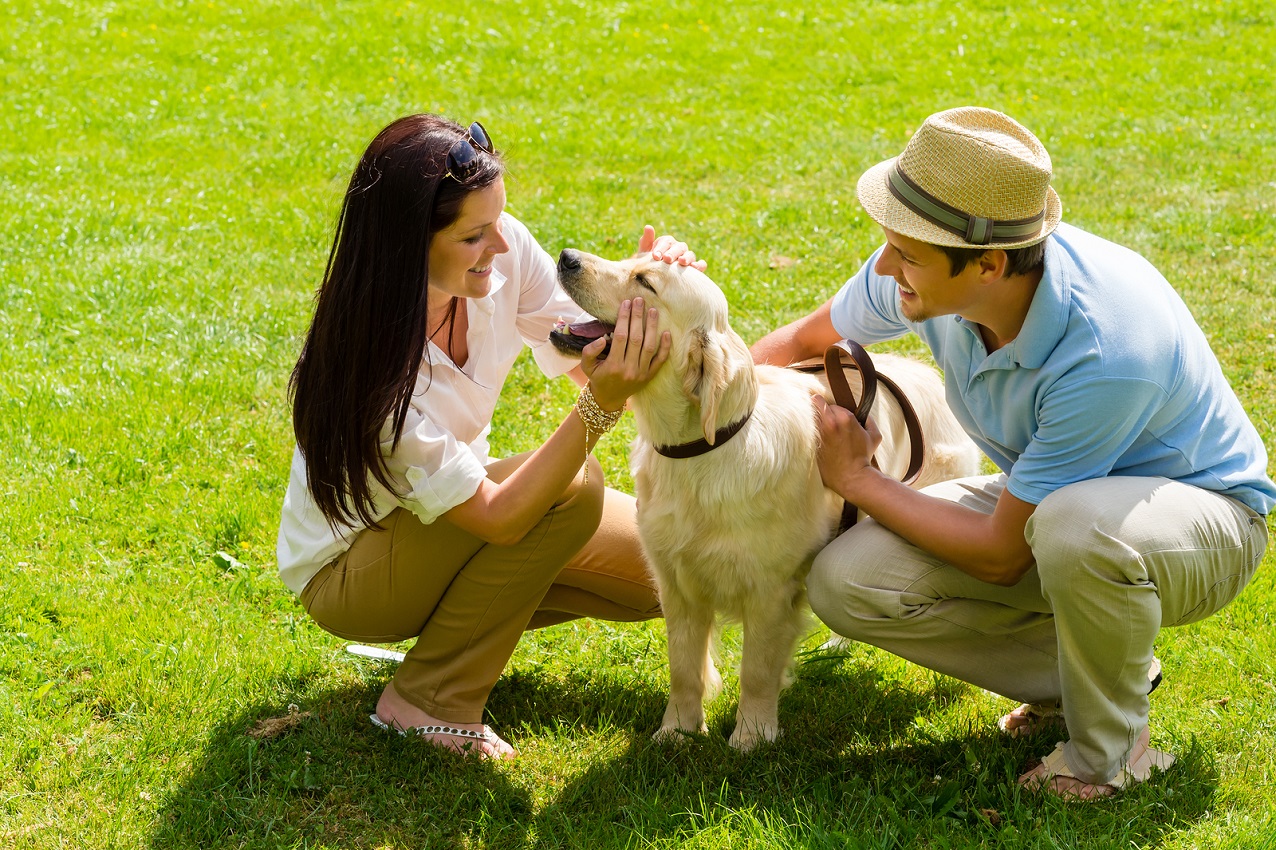köpeği gezdirmek