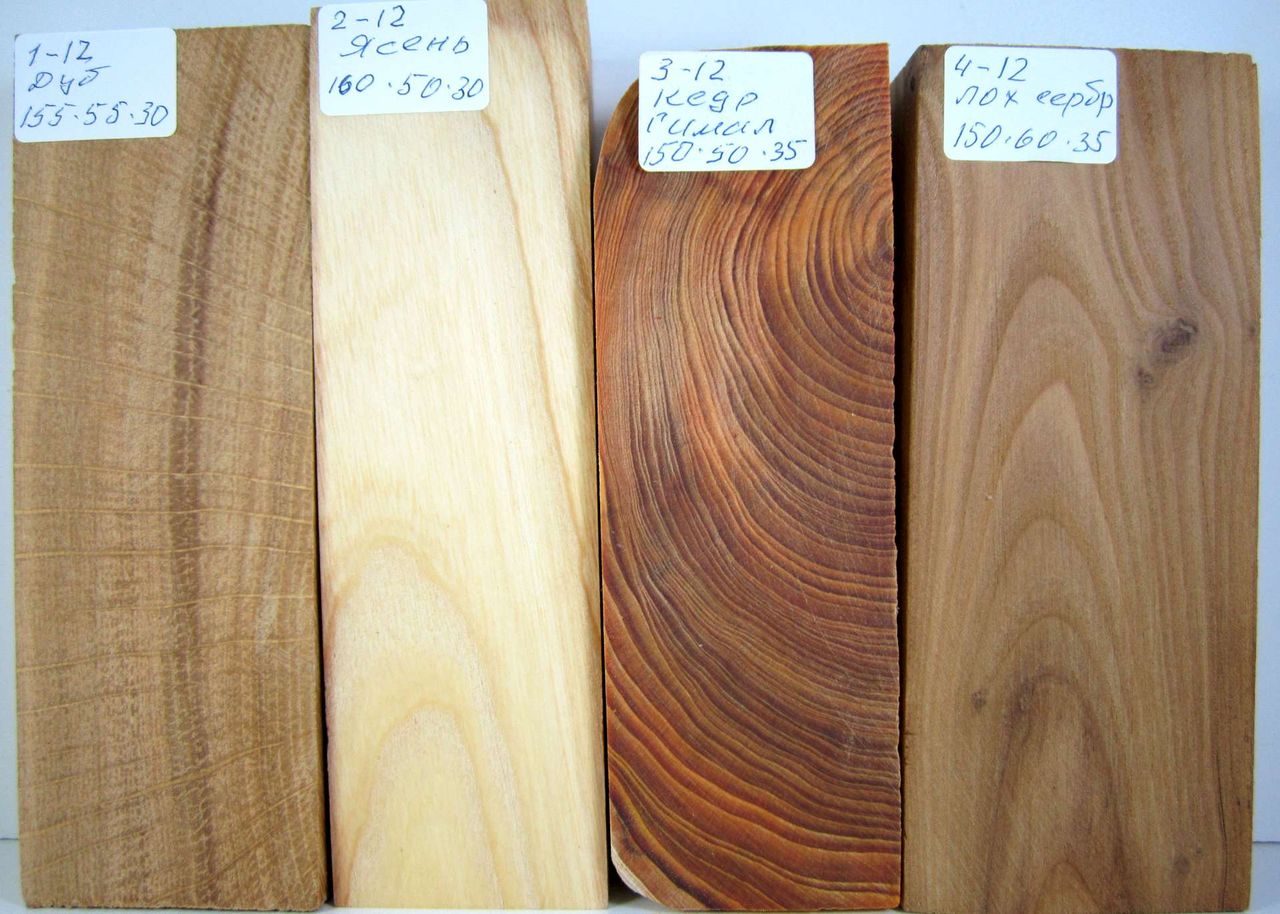 différentes essences de bois