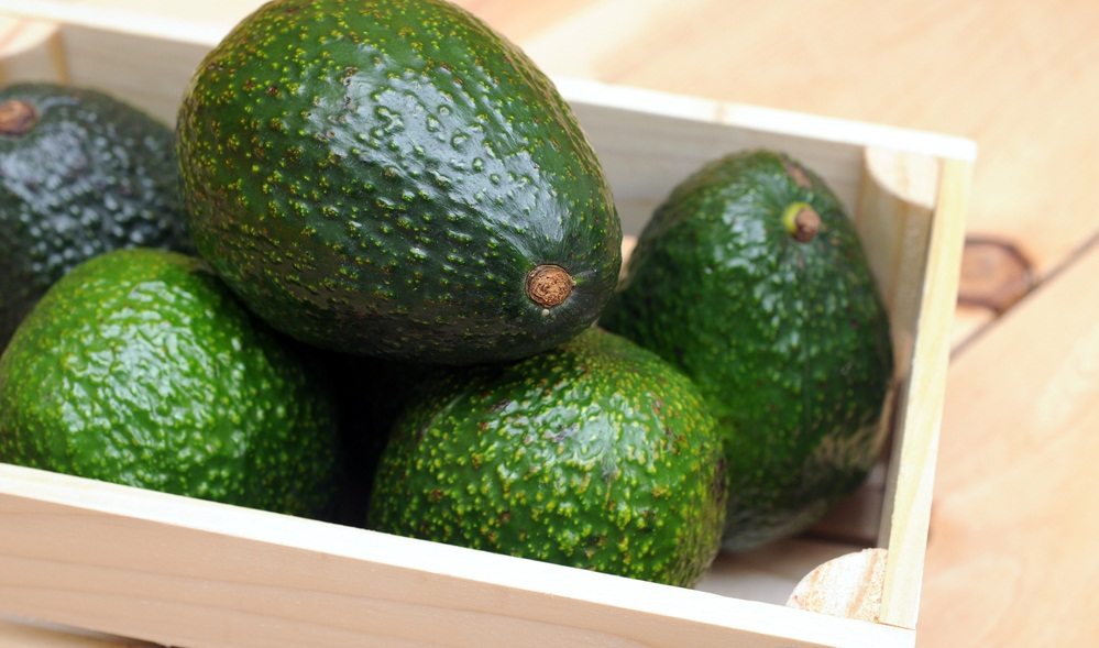 avocat mûr