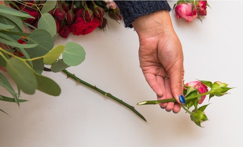 cut the stems of flowers