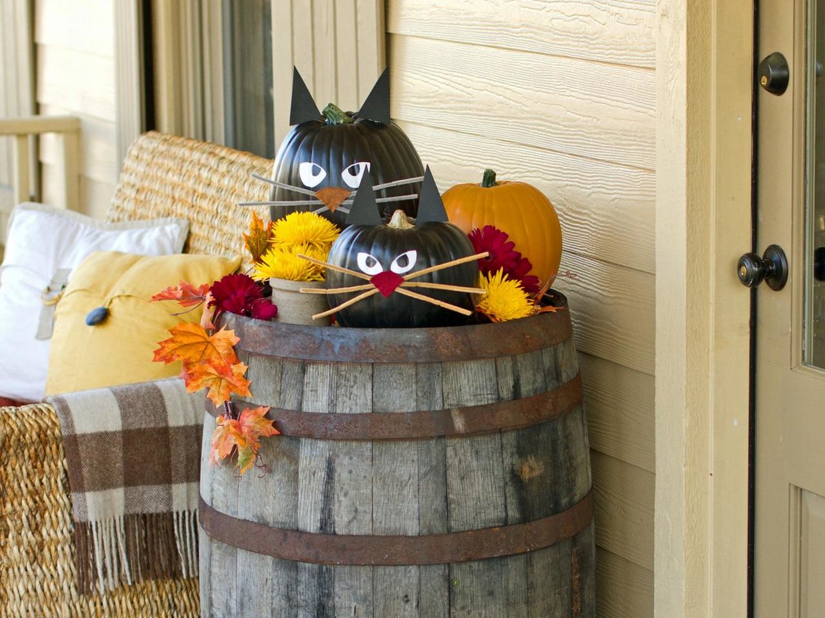 citrouille de chat d'halloween