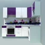 purple kitchen set on a blue background