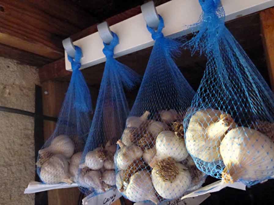 bảo quản tỏi
