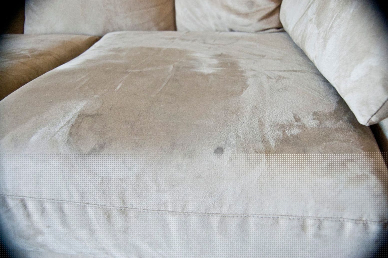 stains on the suede sofa.