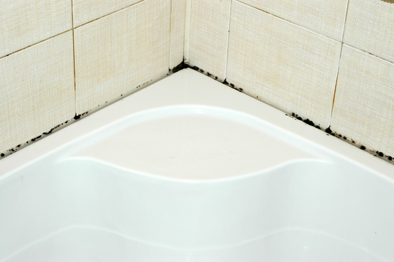 muffa in bagno