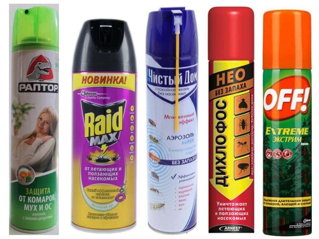 remédios para se livrar de mosquitos