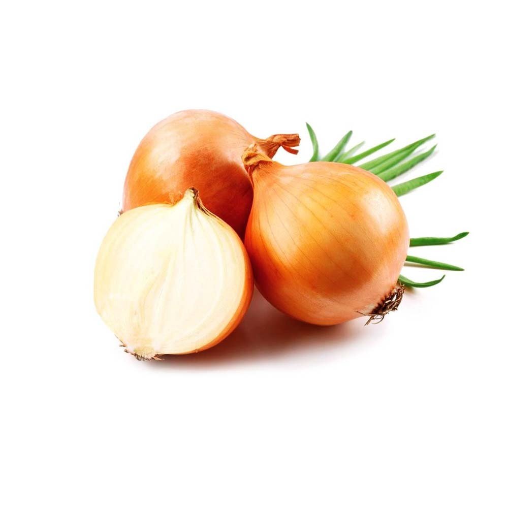 Cebola