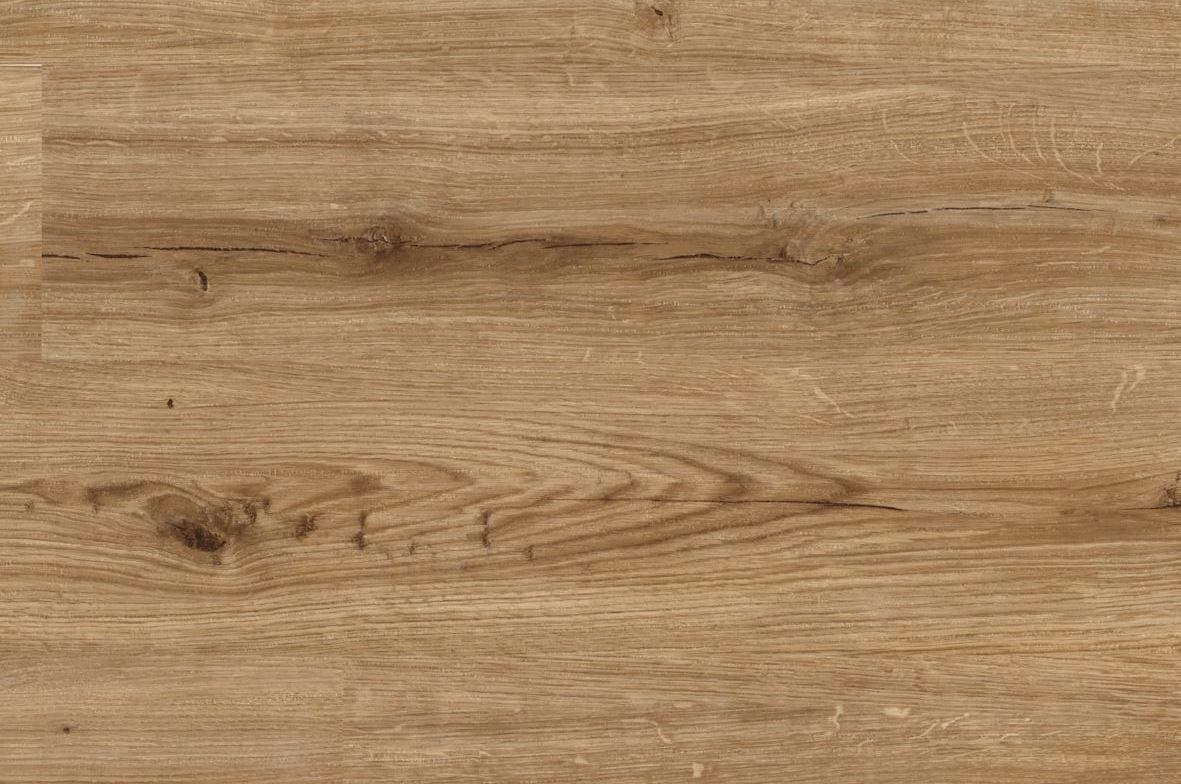 legno di quercia
