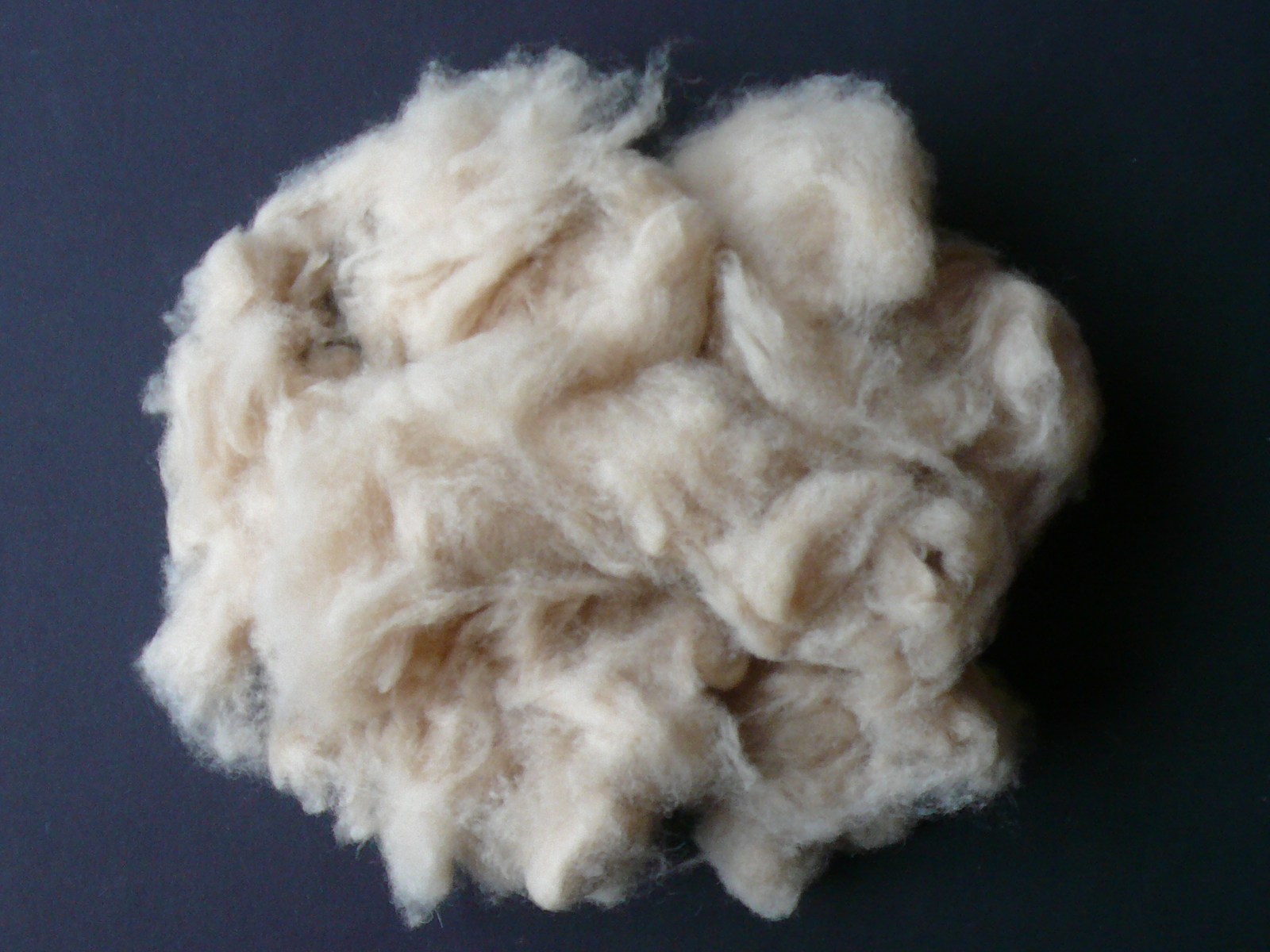 laine de mouton