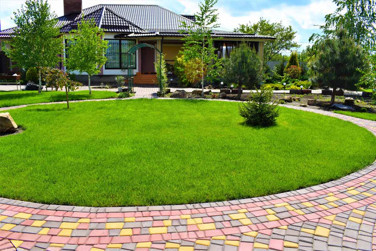 parterre de pelouse