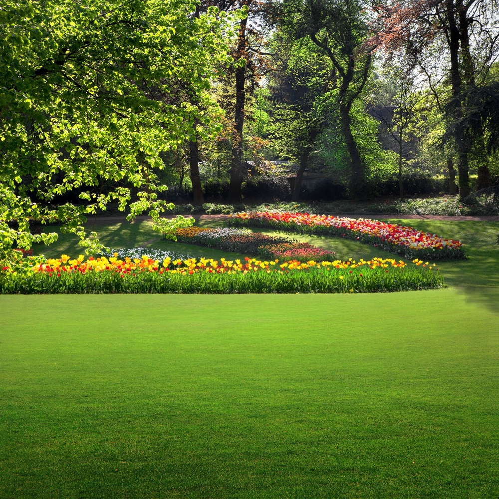 jardin et parc pelouse