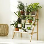 support pour faire pousser des semis décor photo