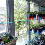 support pour faire pousser des idées de décoration de semis