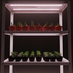 stand pour les idées de conception de semis en croissance