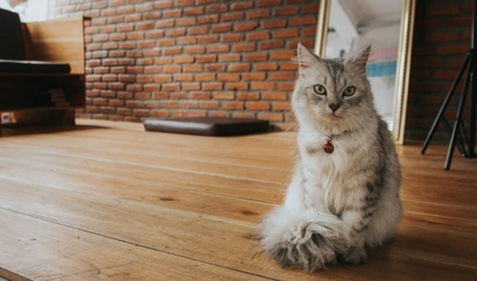 sản phẩm hóa chất gia dụng